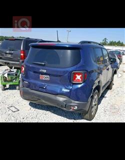 جيب رينيجيد